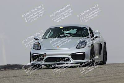 media/Nov-21-2025-Audi Club (Fri) [[8110d52e1e]]/Open Track Photos/3 Grapevine/